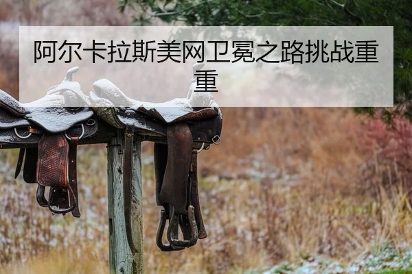 a-er-ka-la-si-mei-wang-wei-mian-zhi-lu-tiao-zhan-chong-chong-1-291.jpg
